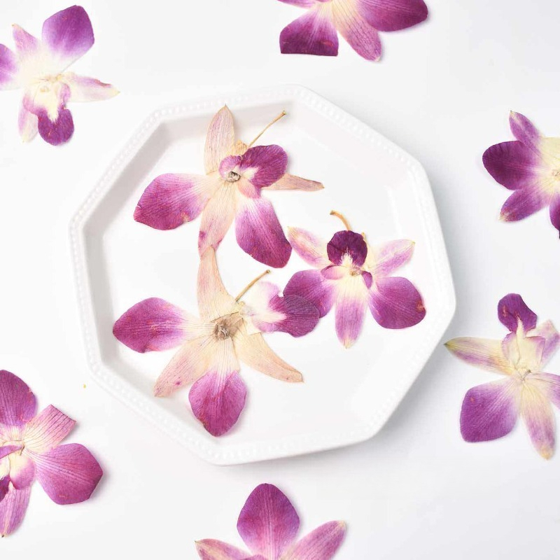 Resin Art With Flowers - 4pcs,Real Pressed Butterfly Orchid Flowers DIY