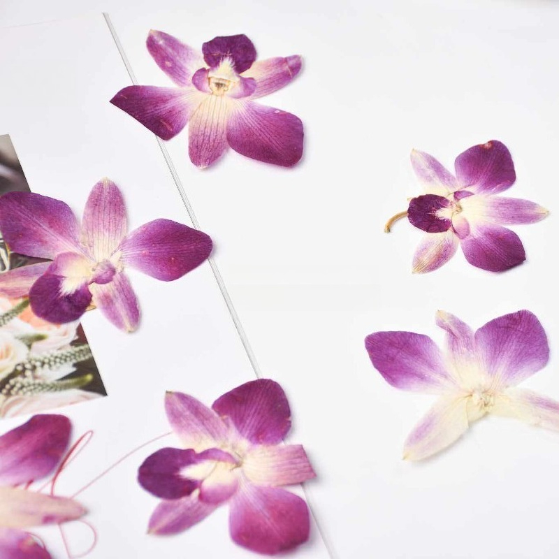 4pcs,Real Pressed Butterfly Or - Resin Art With Flowers 评论和价格